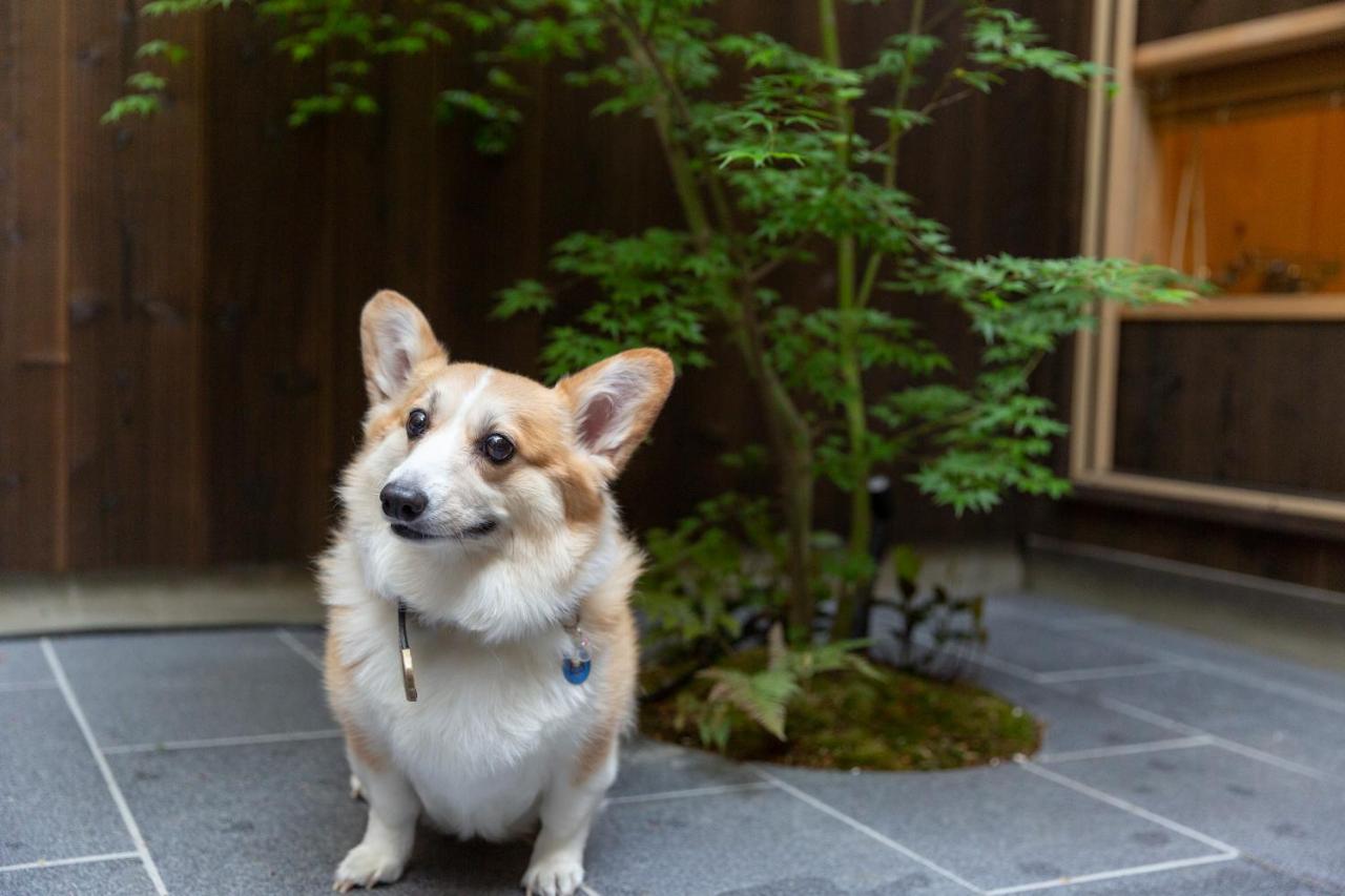 染 Sen 七条花畑 Shichijo-Hanabatake Kyoto Extérieur photo